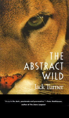 The Abstract Wild Jack Turner