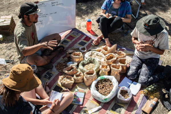 A class on wild tending in the western united states