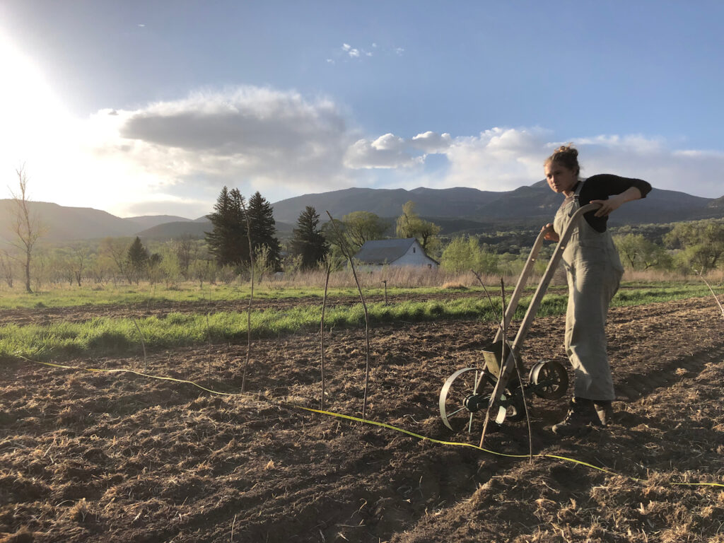 planting seeds with a hand-push seeder in Colorado