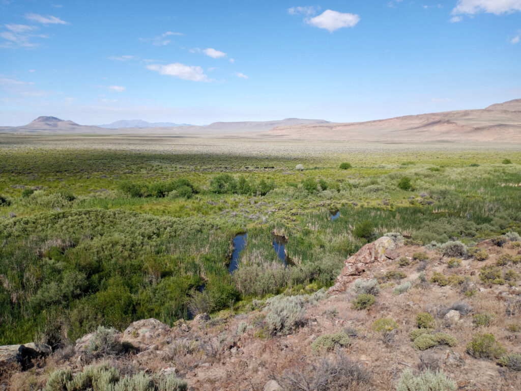 Perennial creek in a proposed lithium mine site