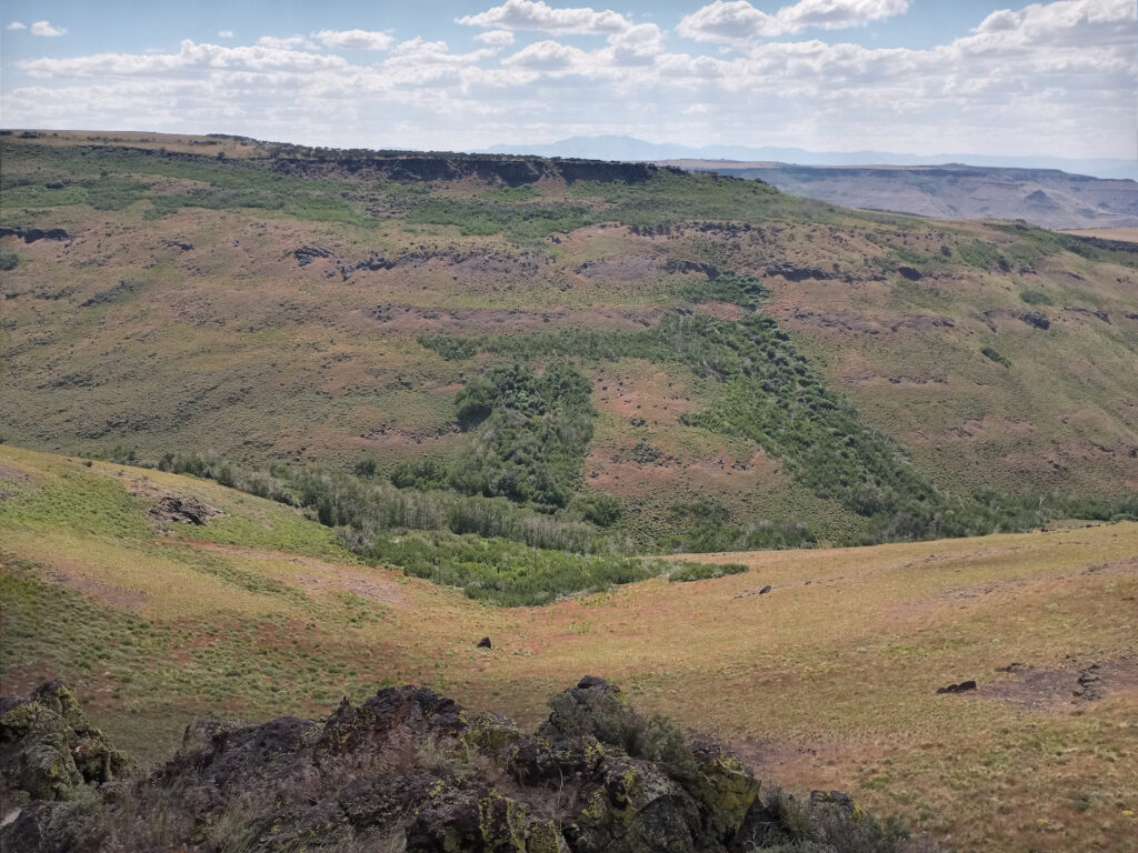 Perennial creek in a proposed lithium mine site