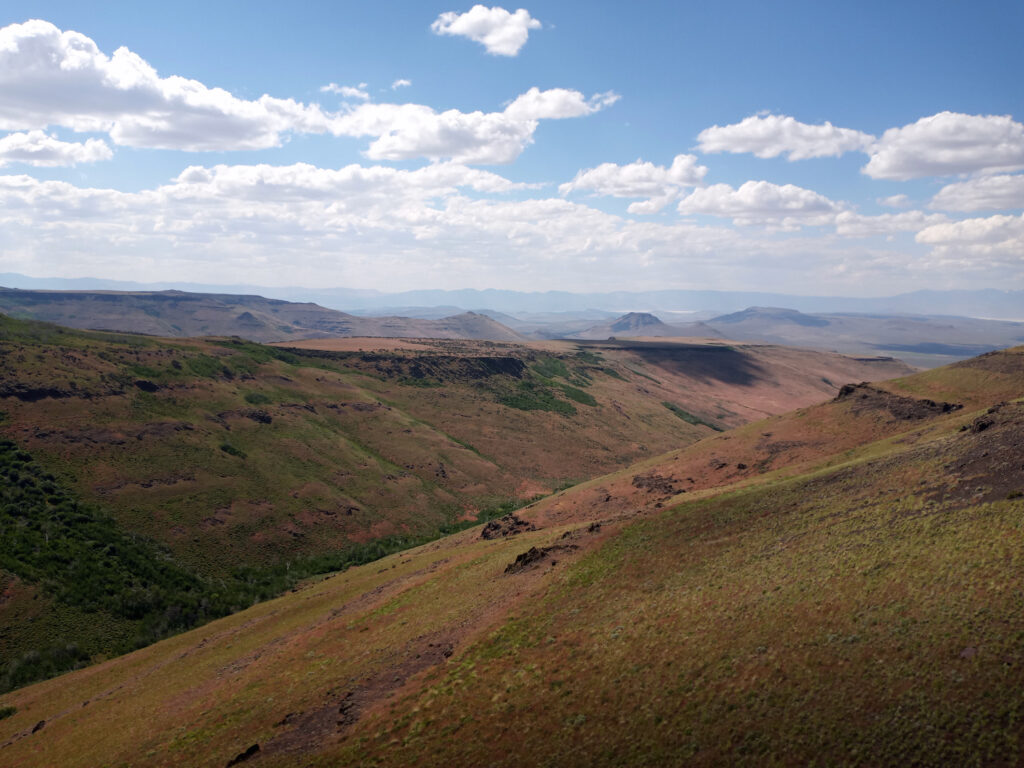 Perennial creek in a proposed lithium mine site