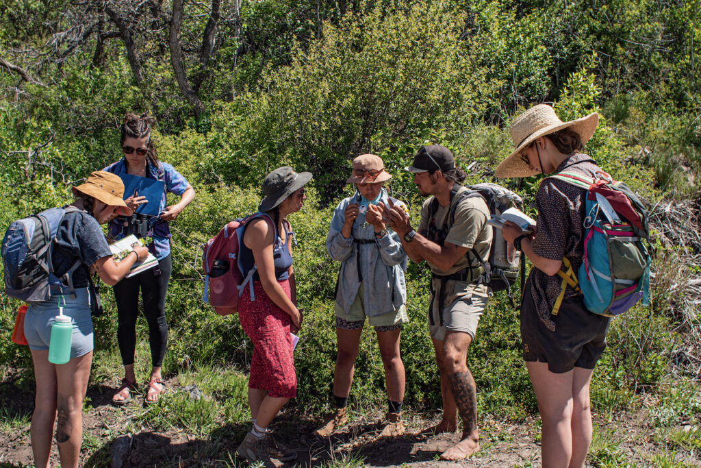 Discussing wild edible plants in Colorado