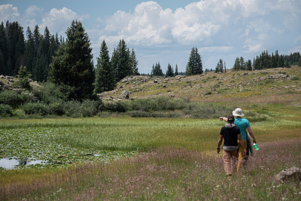 pointing out an interesting ecological feature in the Colorado mountains