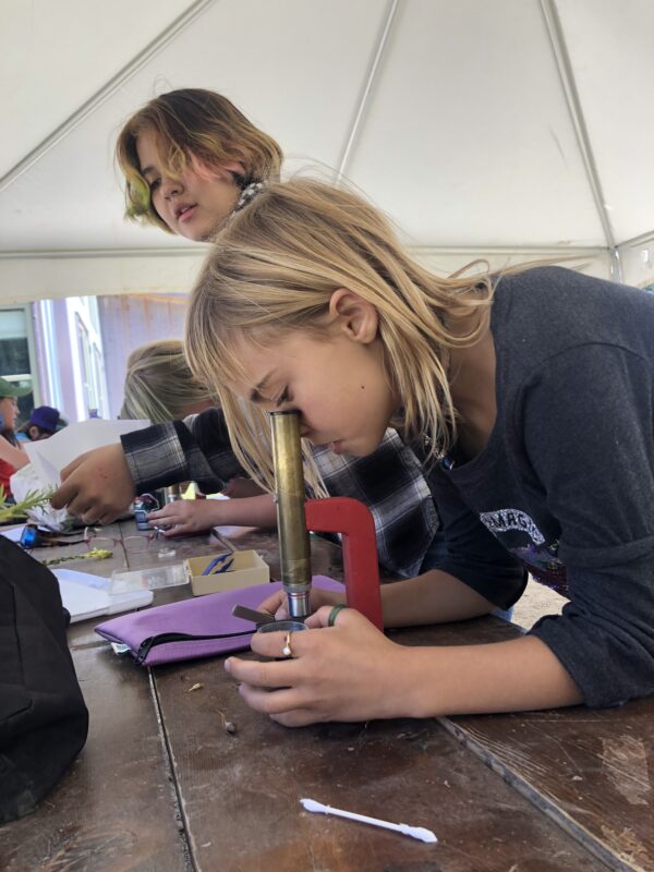 6th grader looking into a microscope