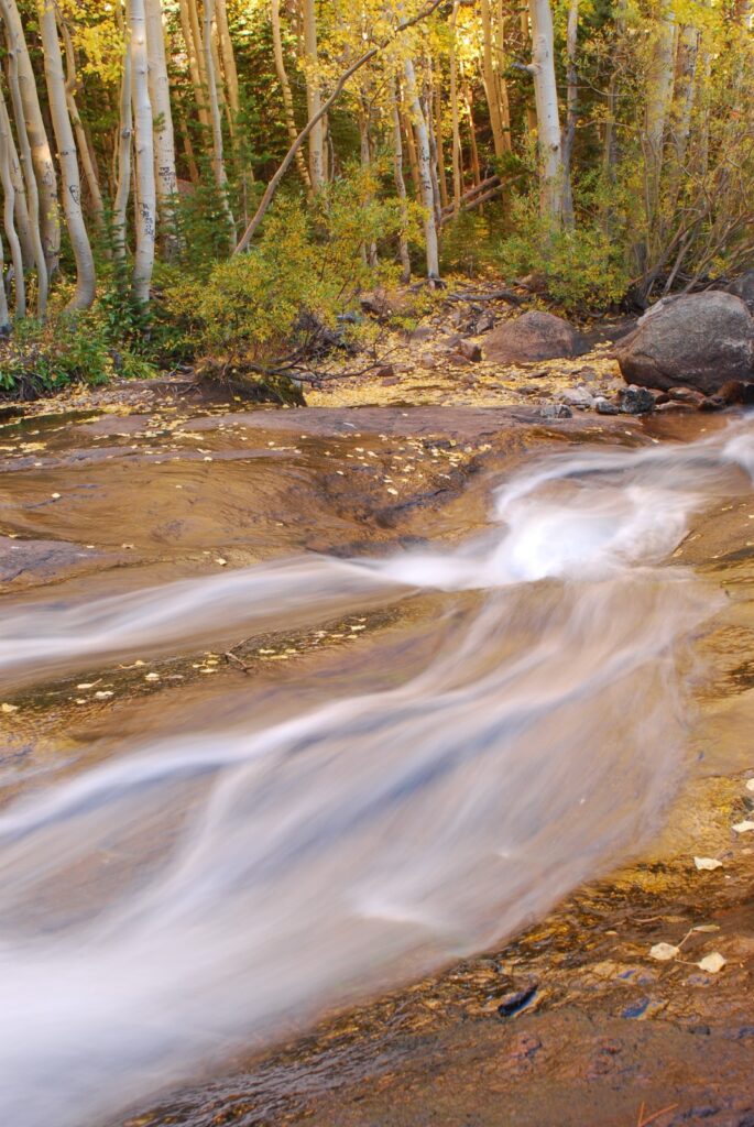 Stream flowing through an aspen forest in the fall