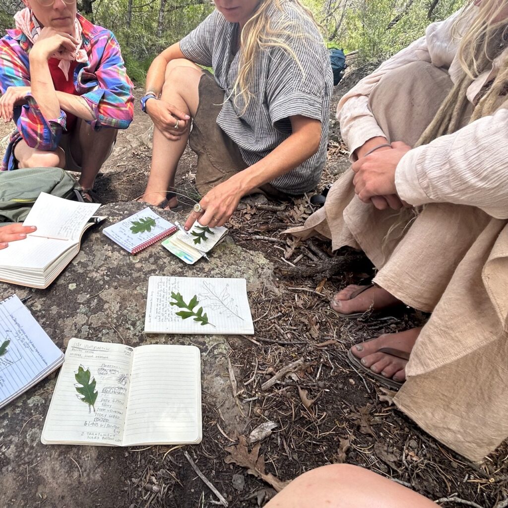 Botany and ethnobotany class in the Colorado forest