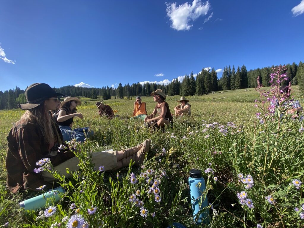 Foraging and ethnobotany class in a field in the Colorado mountains