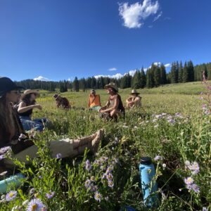 Foraging and ethnobotany class in a field in the Colorado mountains