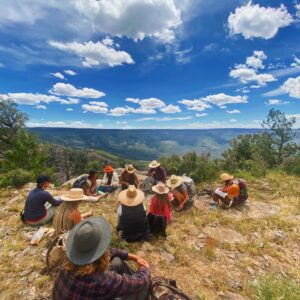 Ecology class on top of Grand Mesa, Colorado