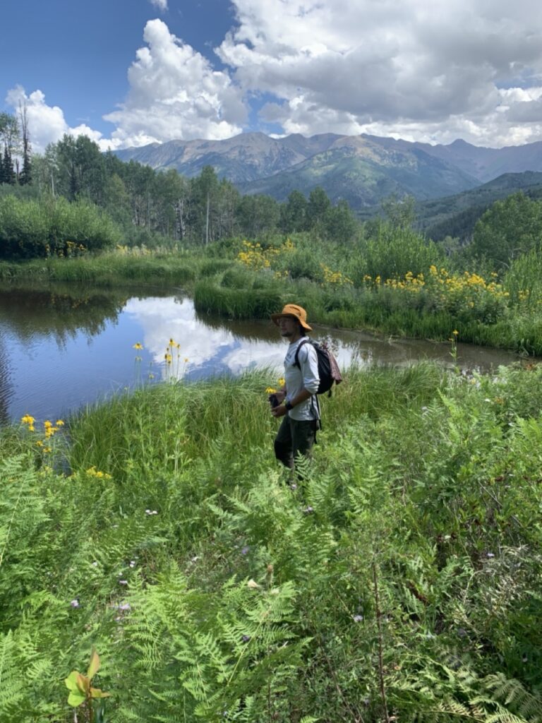 Hiking in the West Elk Mountains, Colorado summer