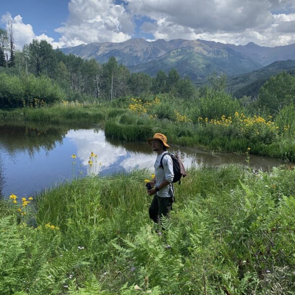 High Elevation Focus—Rocky Mountain Field Ecology: July 24 – 27 - Image 2