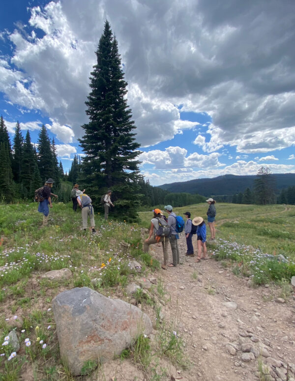 teaching ecology in Colorado