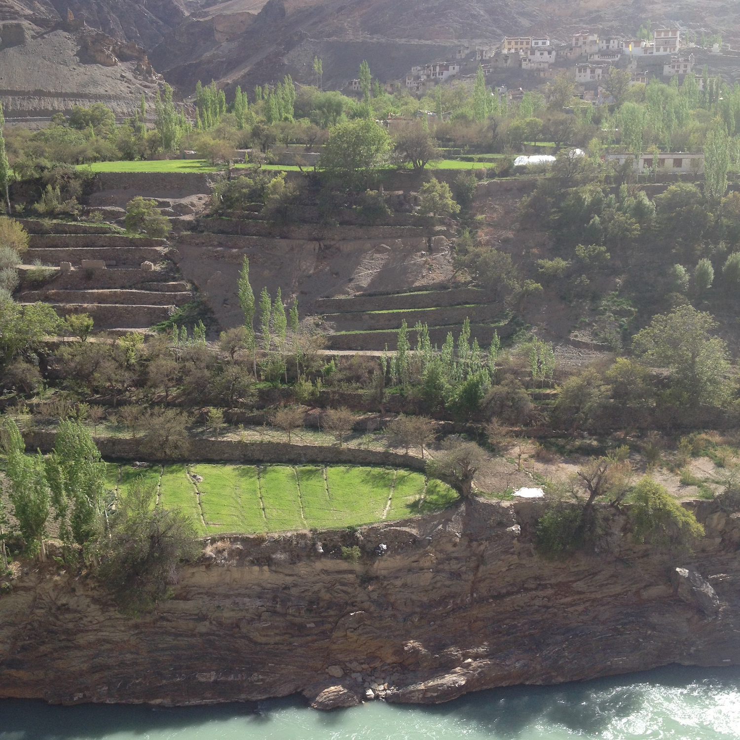 Terraces along the Indus River, Ladakh, India