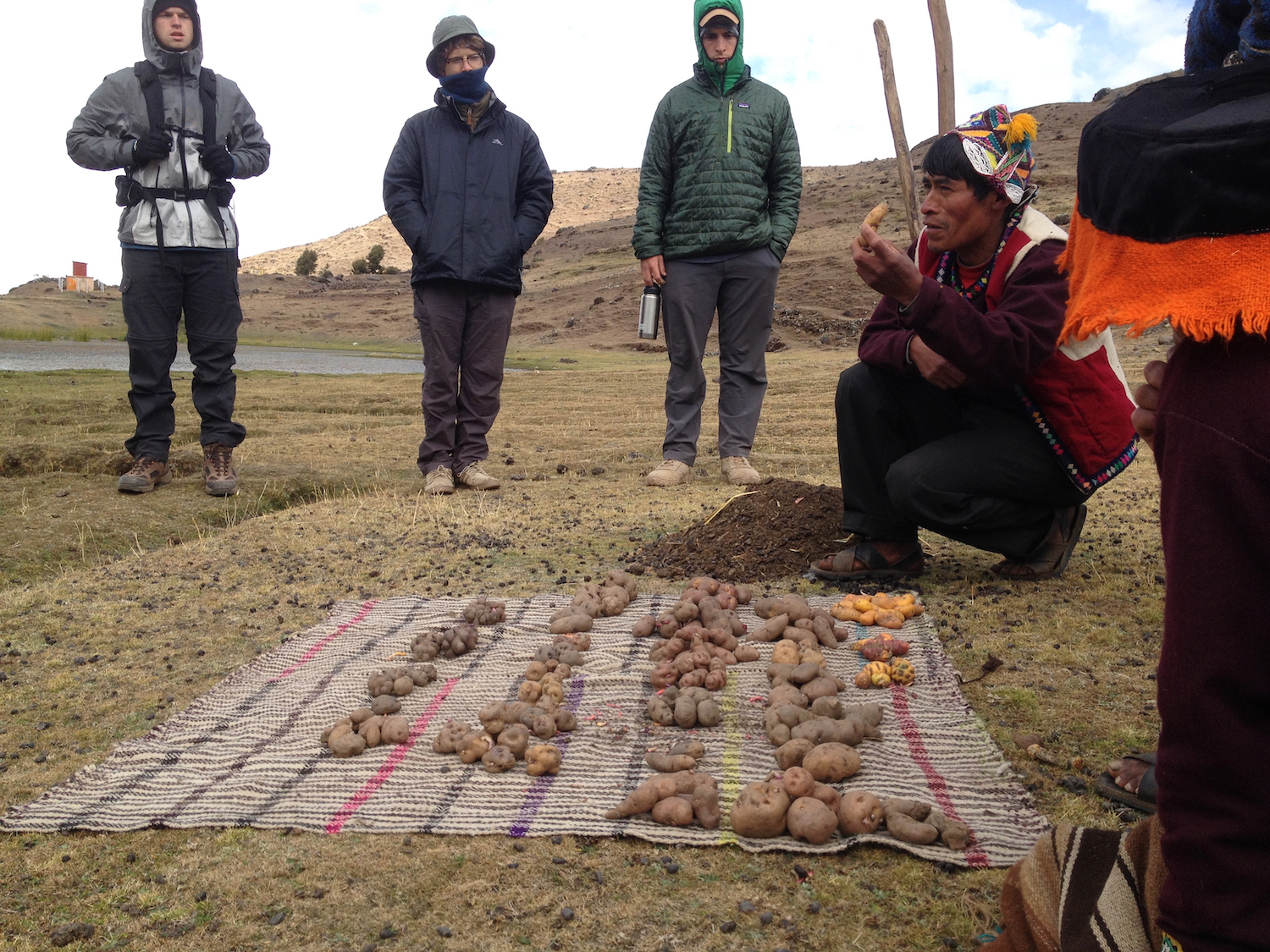 Food sovereignty presentation in Parque de la Papa, Peru