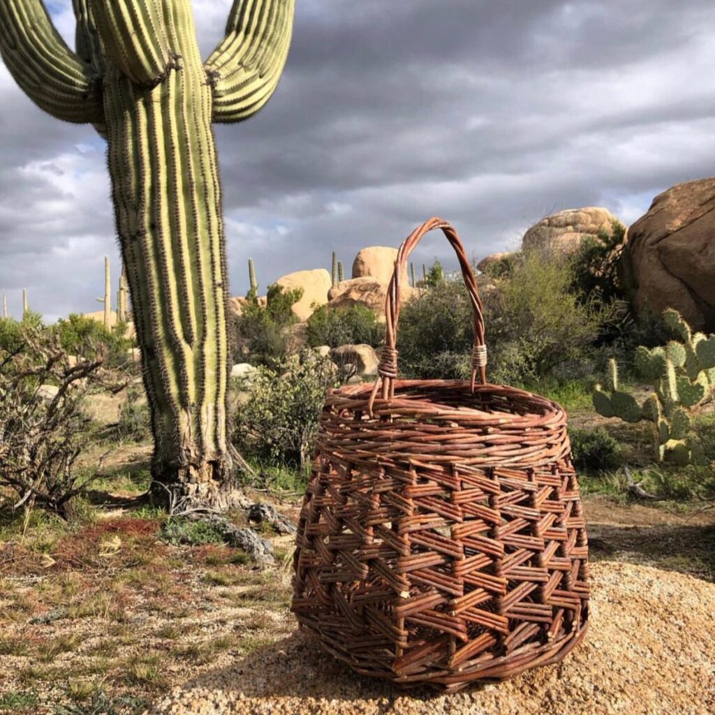 basket and saguaro cactus
