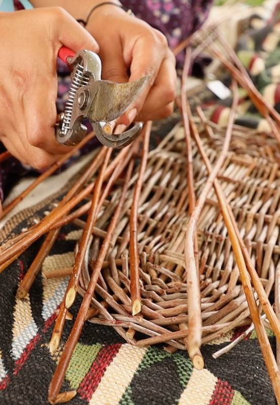 clipping willow while weaving baskets