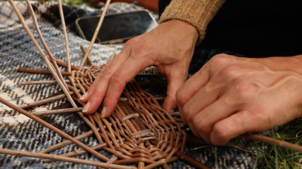 weaving willow basket base