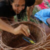 Willow Weaving: Flower Basket, February 1, 2025 (Paonia) - Image 3