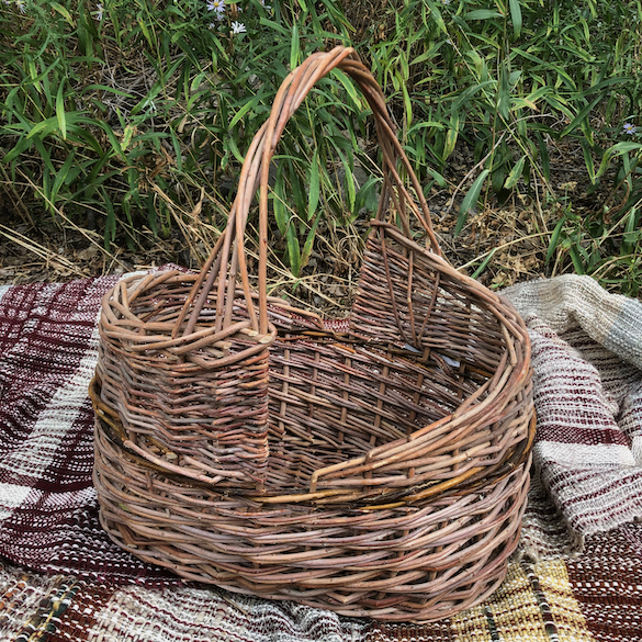 advanced basket weaving classes