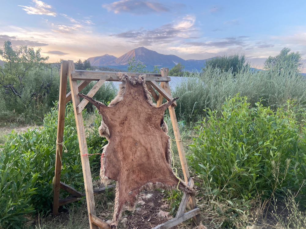 naturally tanned sheepskin