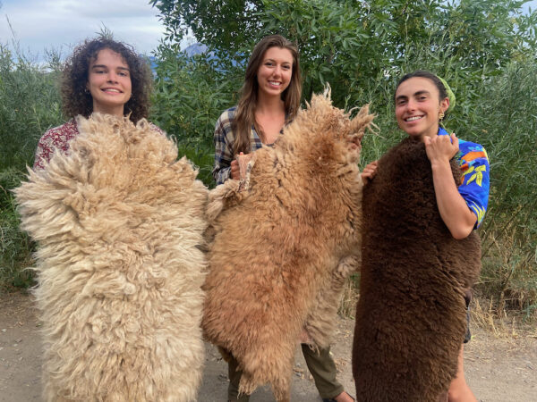 food systems fellows with their sheepskins