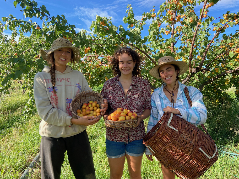 food systems fellows picking peaches