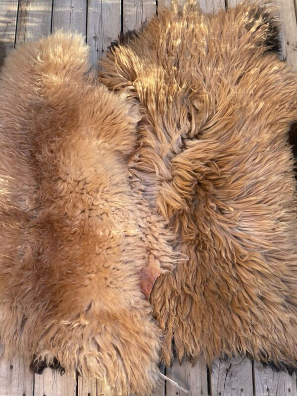 Naturally tanned sheepskins