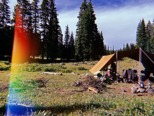 Groundwork ecology camp on grand mesa, colorado