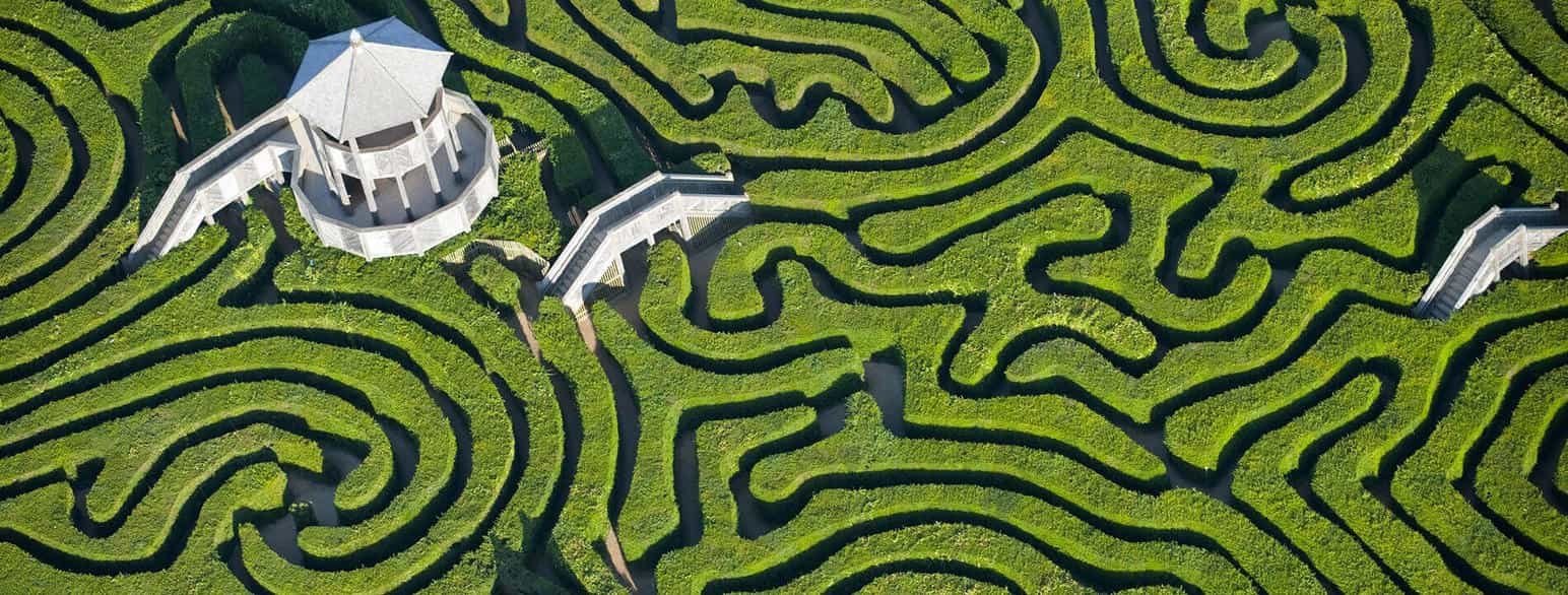 Featured Image This Is Your Brain On GPS