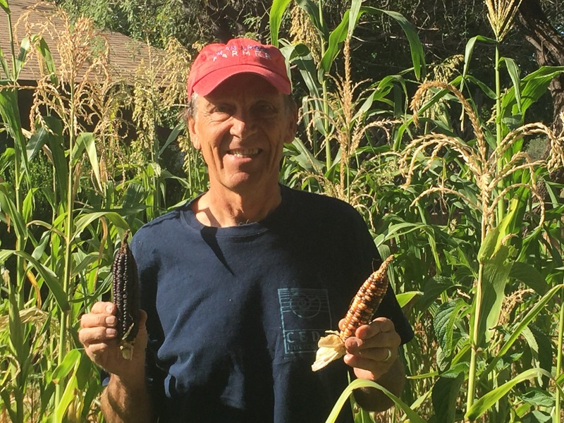 Bill McDorman, seed mentor