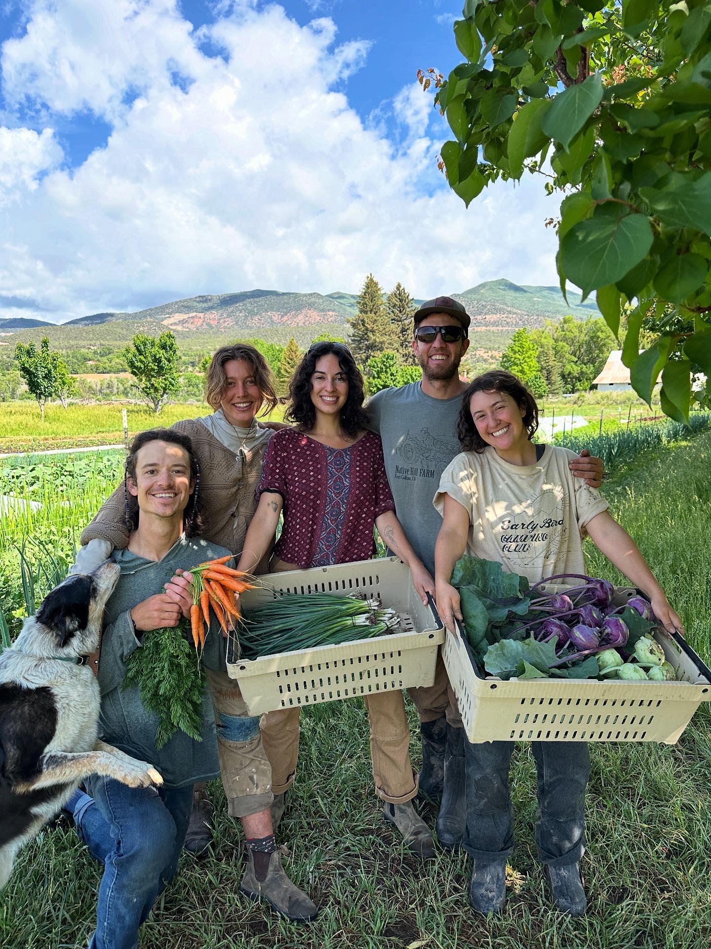 produce harvest on the groundwork farm in paonia
